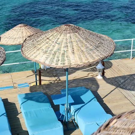 Arya * قرابورون