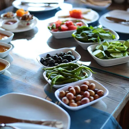 Arya Hotel Karaburun (Izmir)